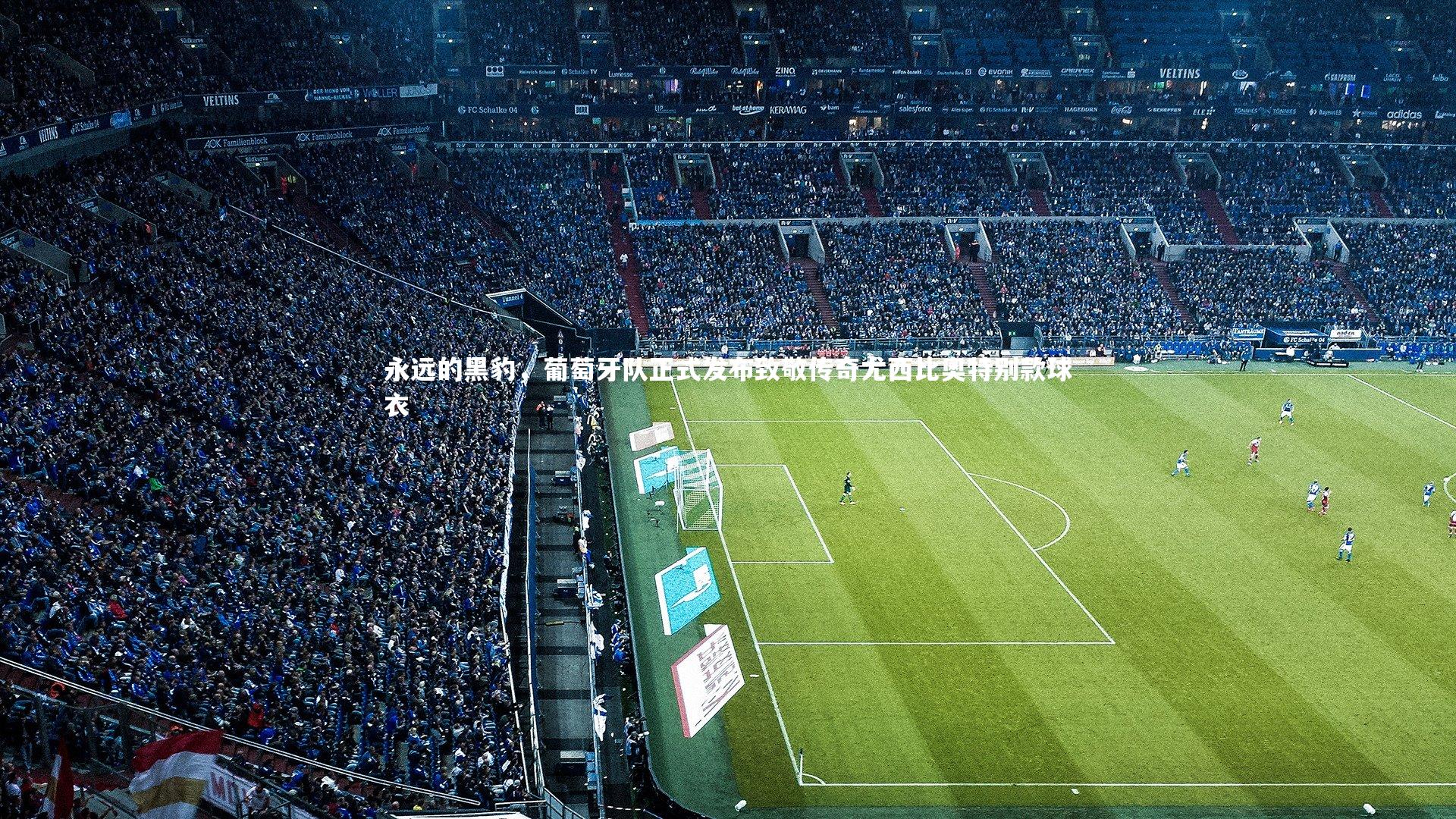 永远的黑豹,葡萄牙队正式发布致敬传奇尤西比奥特别款球衣